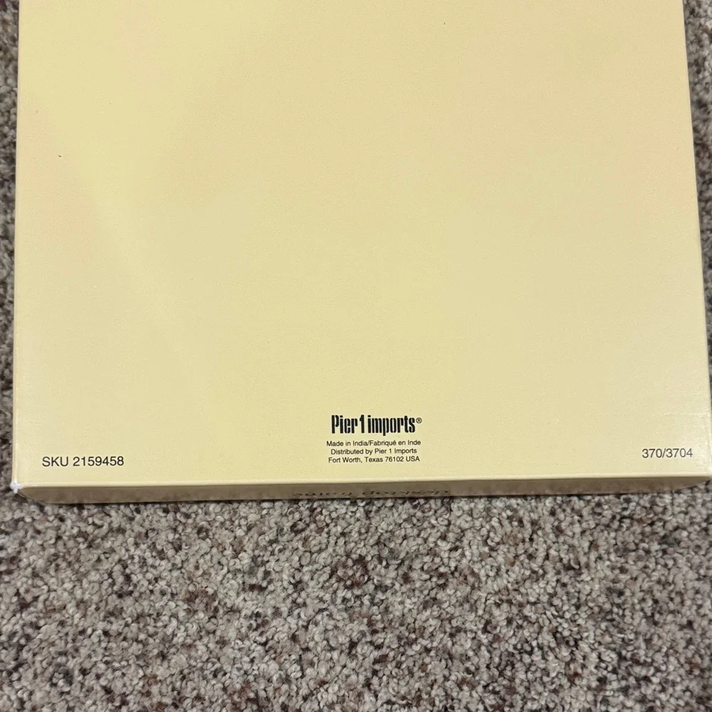 Pier 1 imports Silver Frame